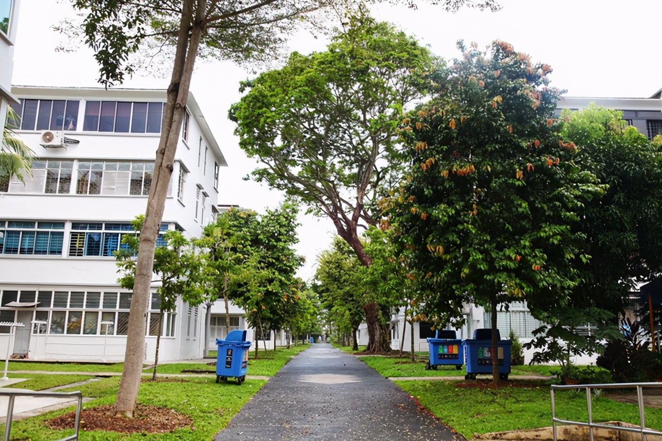 「怀念系列」新加坡|平价米其林+小众景点,3.5D我们不走寻常路3