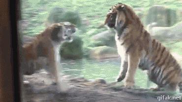 女人来姨妈喝红糖水能缓解痛经吗,女生喝红糖水能调理痛经吗