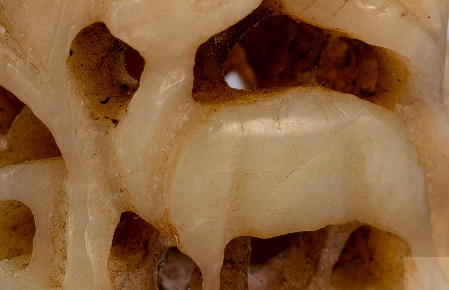 北京禾谷拍卖上海公司,玉石拍卖会作品欣赏