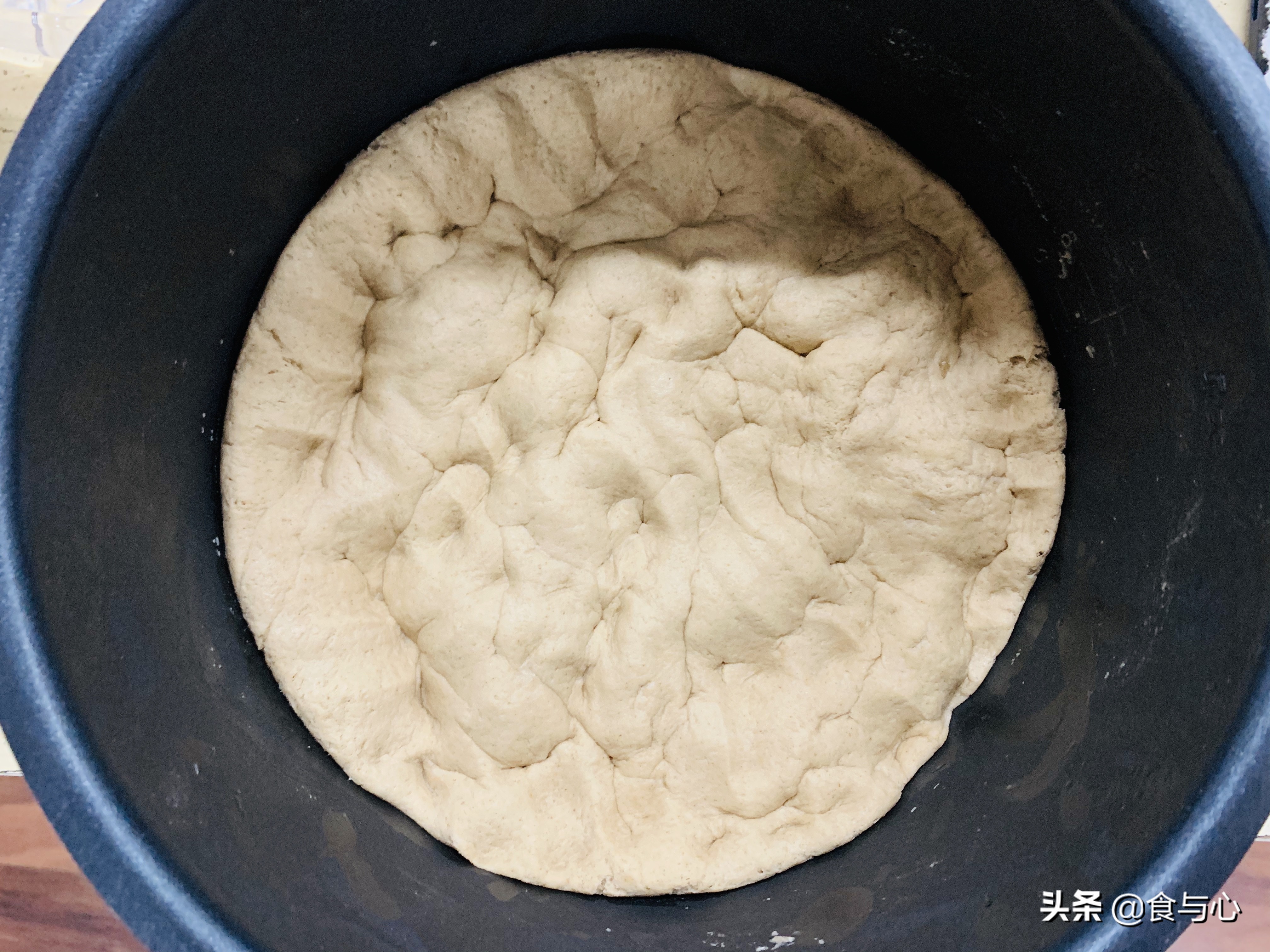 干酵母乳酸菌开花馒头做法,乳酸菌代替酵母做馒头