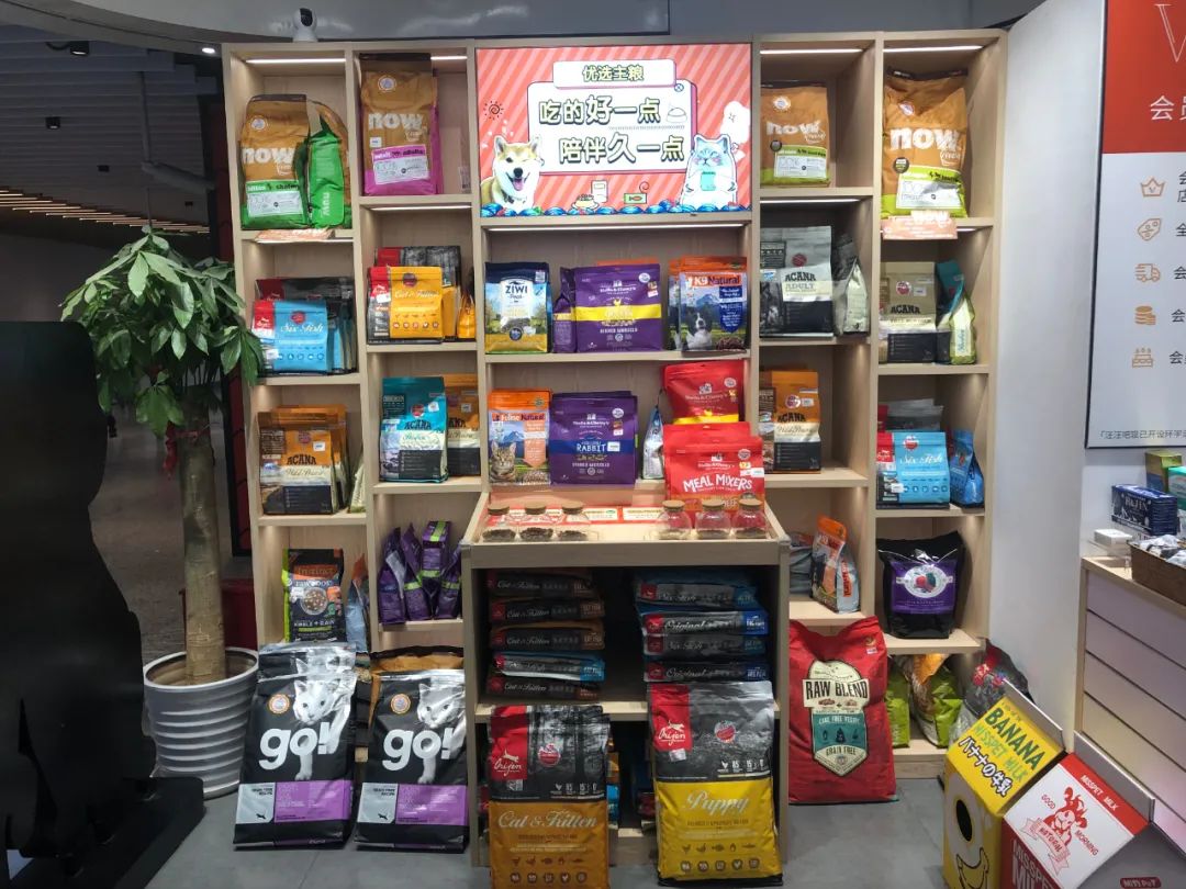 靠十平米小店铺月挣10万,10平米店做什么可以月入过万