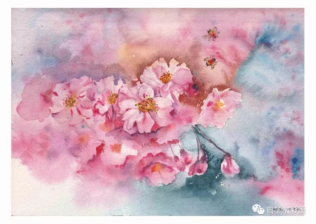 小清新水彩画樱花,梦幻又浪漫的水彩樱花画