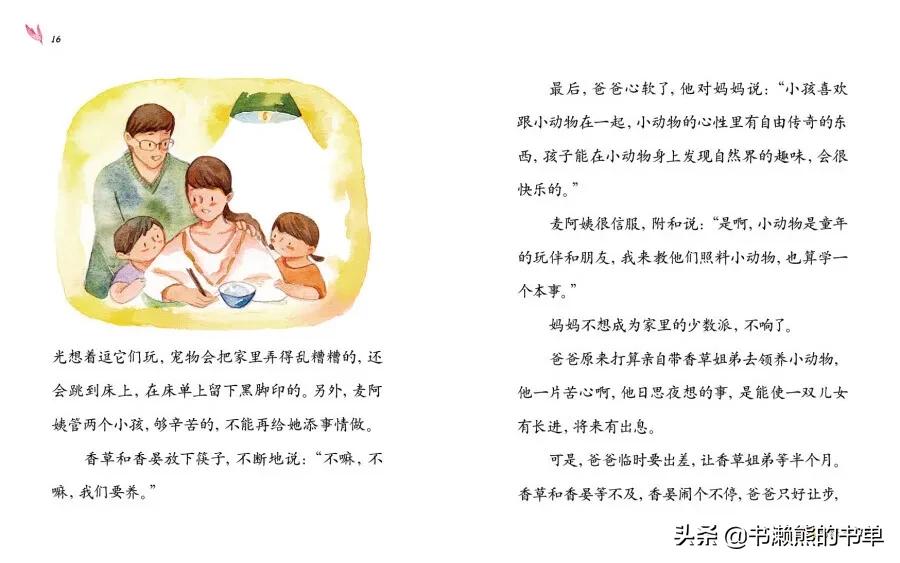 《香草不是笨小孩》，帮孩子幼小衔接！