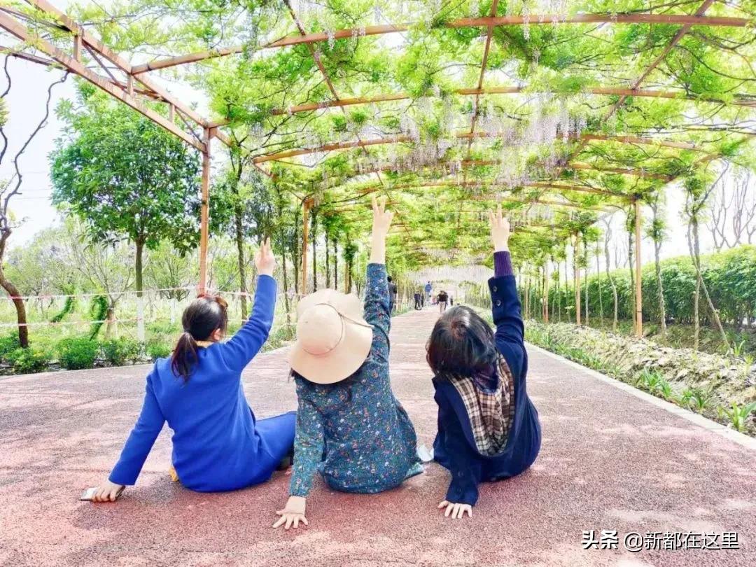 这才是9月最值得去的地方,4月最值得去的地方