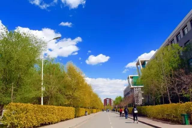 辽宁中医药大学杏林学院规模,辽宁中医学院杏林学院的排名