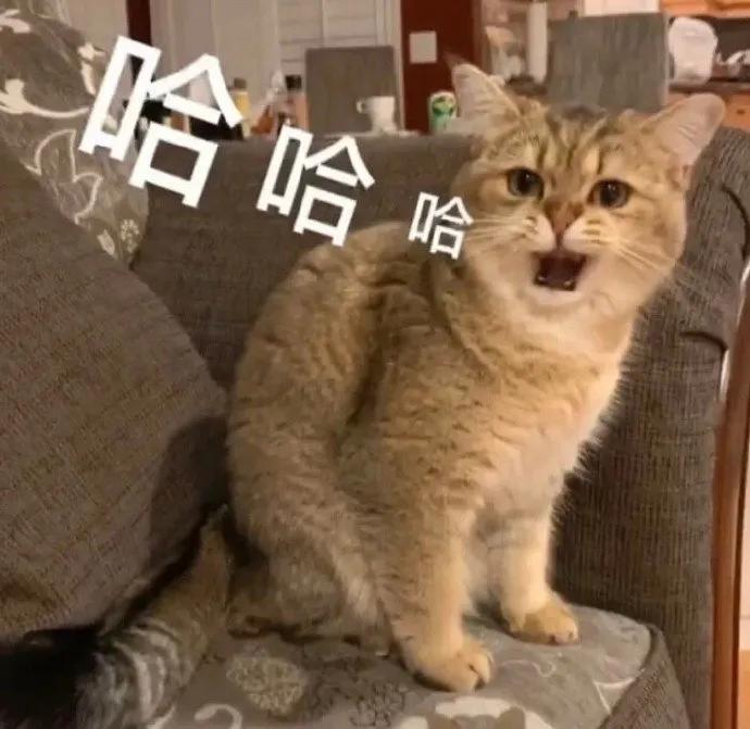 田朴珺万科王石完整版,王石妻子田朴珺