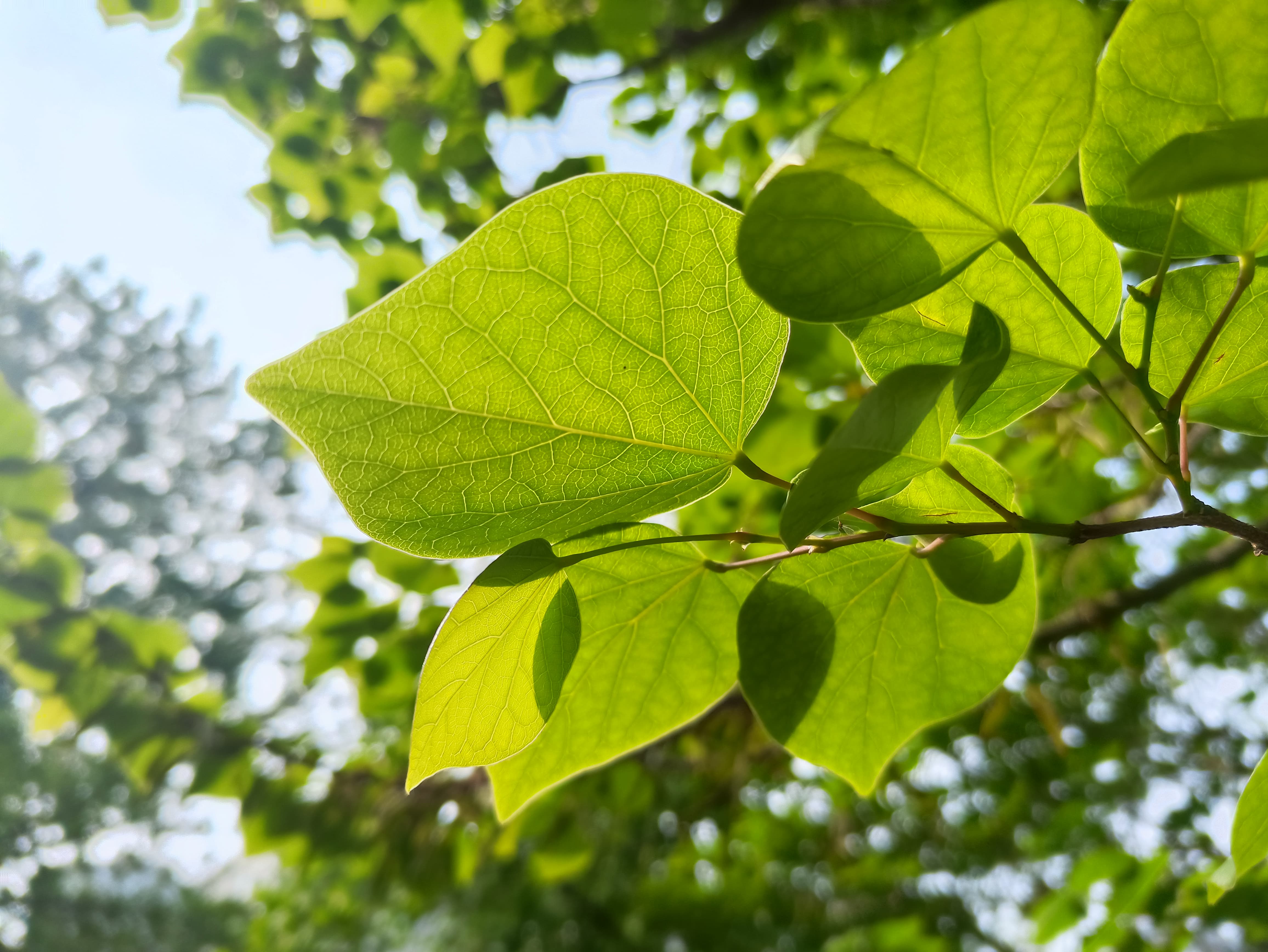 k40游戏增强版评测多少分,k40游戏增强版的最新评测