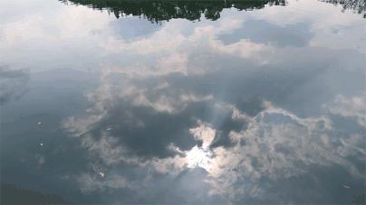 深圳吃喝玩乐两日游推荐,深圳周边游吃喝一日游推荐