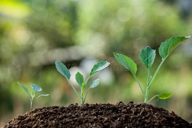 化肥在农业生产中的利弊,化肥发展历程知识讲座