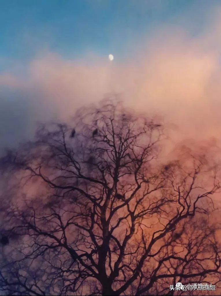 诗人酒馆|余怒：宁愿被剧情中的怪兽一点点吃掉