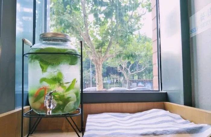 今天愉快地减肥了吗，为你送上魔都“吃草”地图！