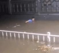 暴雨图片朋友圈,石家庄暴雨拍摄图片真实