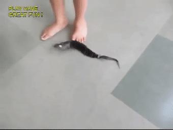 穷人的乐高什么样？印度大佬用垃圾做的玩具，火了