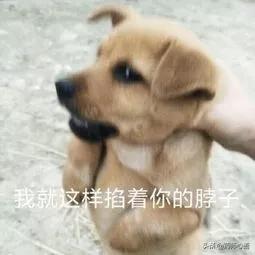 睡醒腿上莫名有淤青是被鬼掐的吗,胳膊突然紫了一块是鬼掐的吗