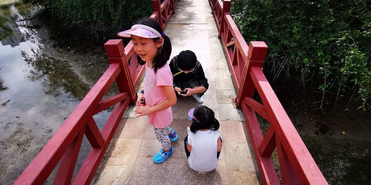 三亚红树林有亲子活动,三亚红树林和海韵