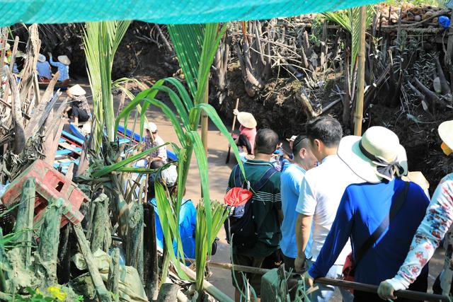 越南的美食美景,越南的美食和美景