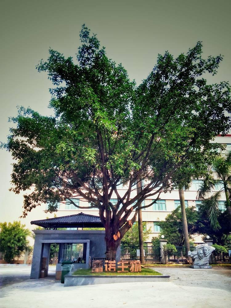 RG雷诺与美妆头条达成年度战略合作 未来将全面性升级