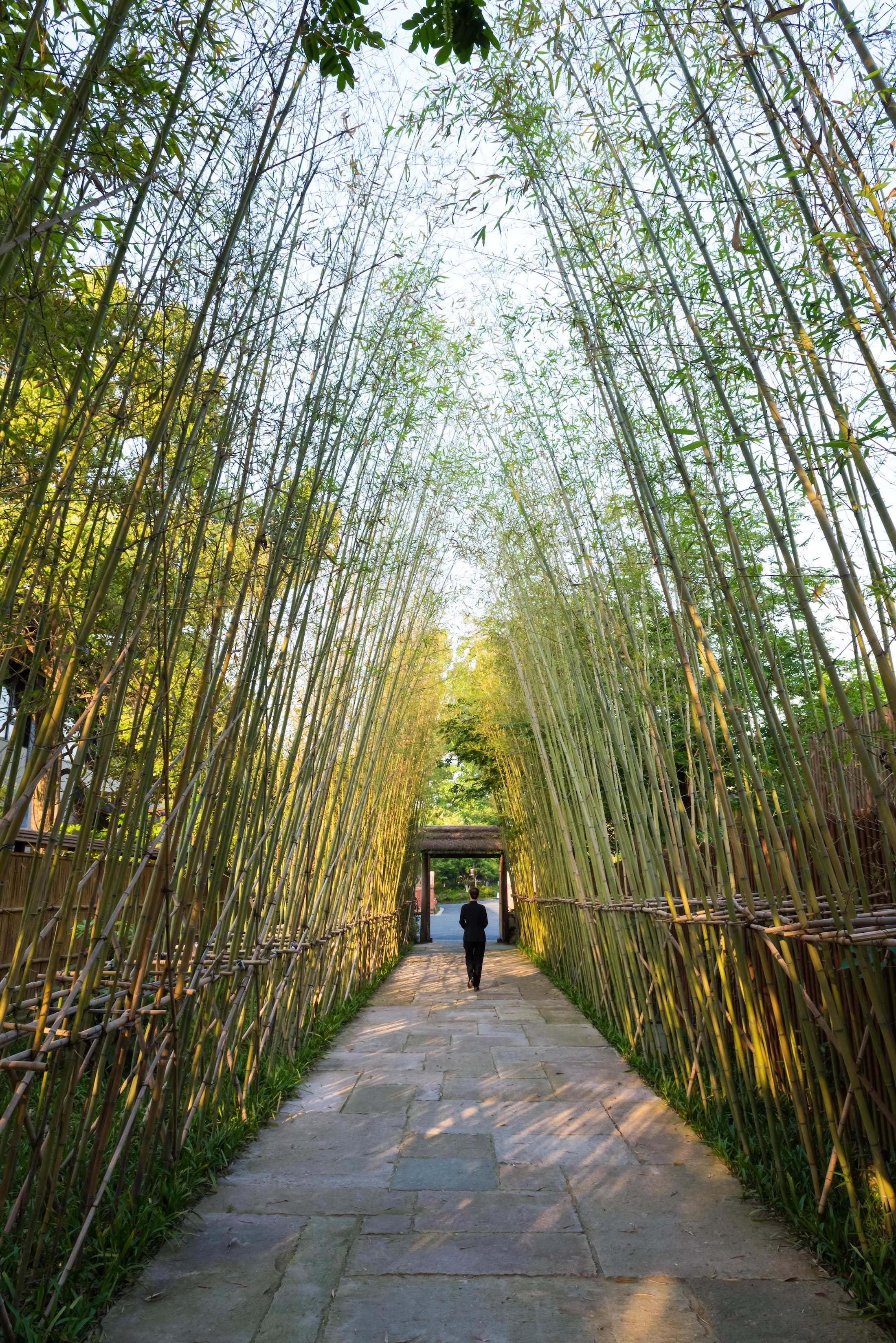 西溪里禅意庭院效果图,西溪湿地新荣记会所