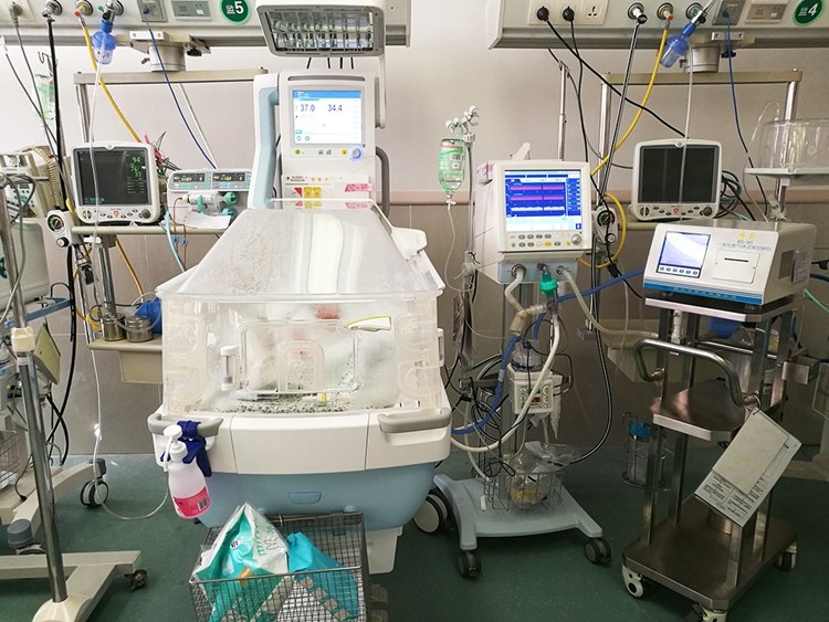 早产宝宝放弃治疗回家怎么办,早产27周宝宝可以放弃治疗吗