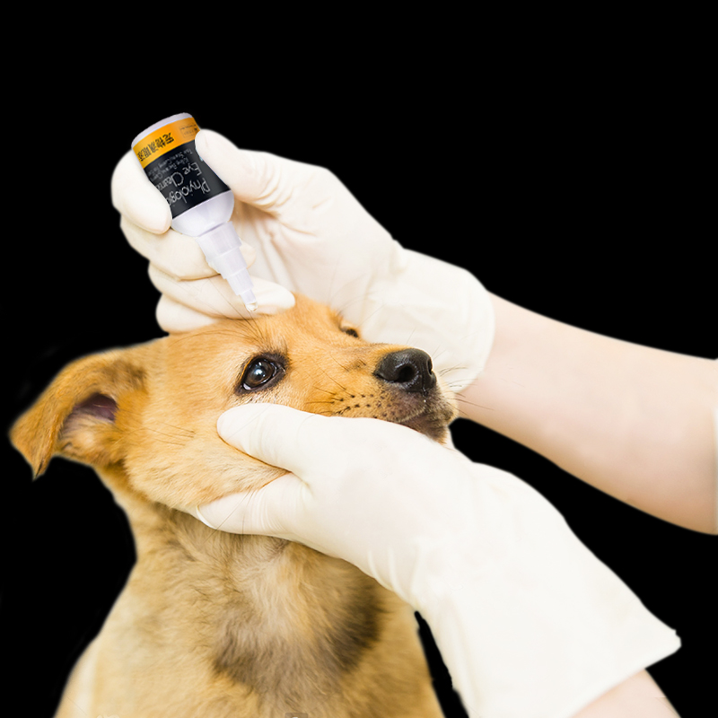 养狗必备七种药,养狗常备药一览表