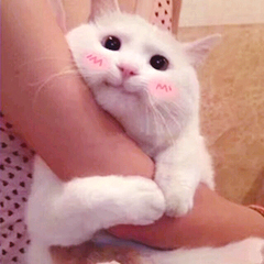 高音上不去的唱歌小技巧,唱歌高音上不去怎么练嗓子