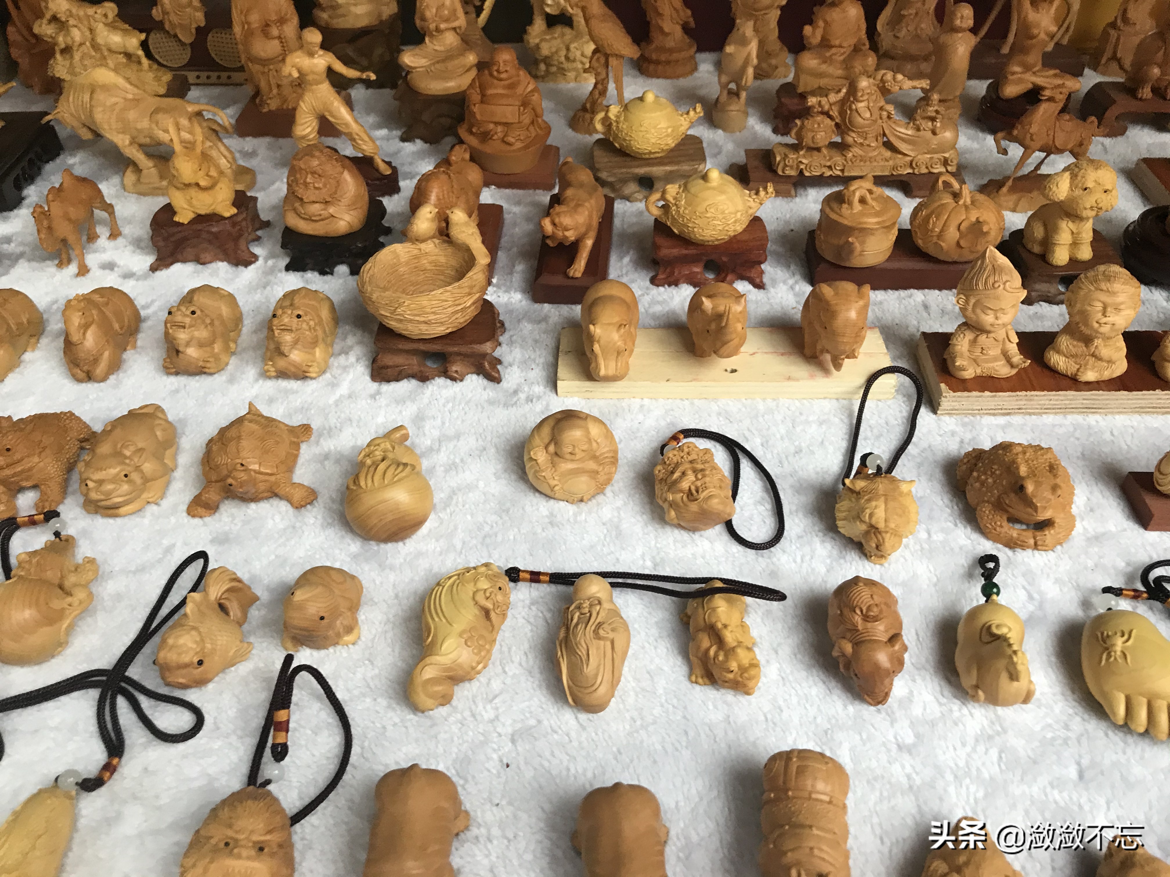 昆明哪里买花便宜又好,昆明斗南花卉市场怎么买花