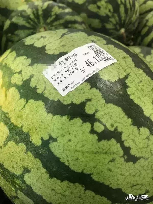 地里的西瓜卖不出去,河南西瓜卖不出去的视频