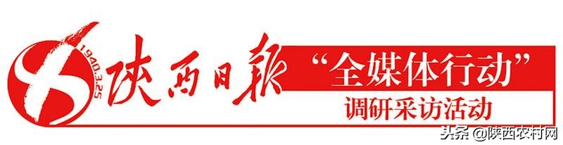 宝鸡东岭西部第一村,陕西宝鸡东岭村简介