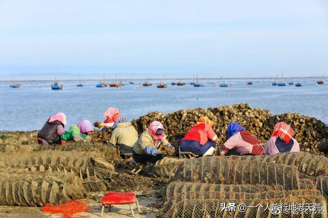 大连最浪漫的十个地方,大连浪漫景色