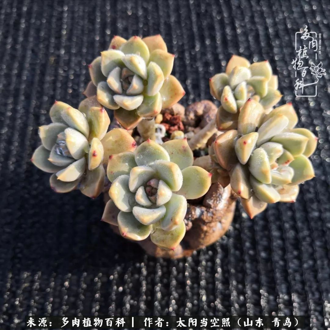 离家在外才发现最难忘的是故乡情,离家在外看见家乡的东西