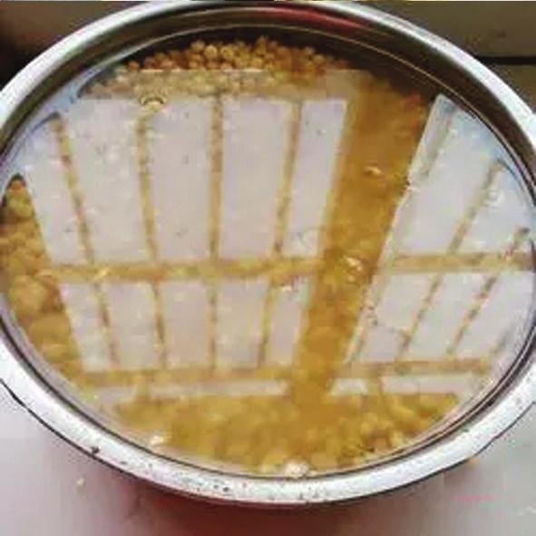 晒酱豆发酸什么原因,怎样用黄蒿晒酱豆子