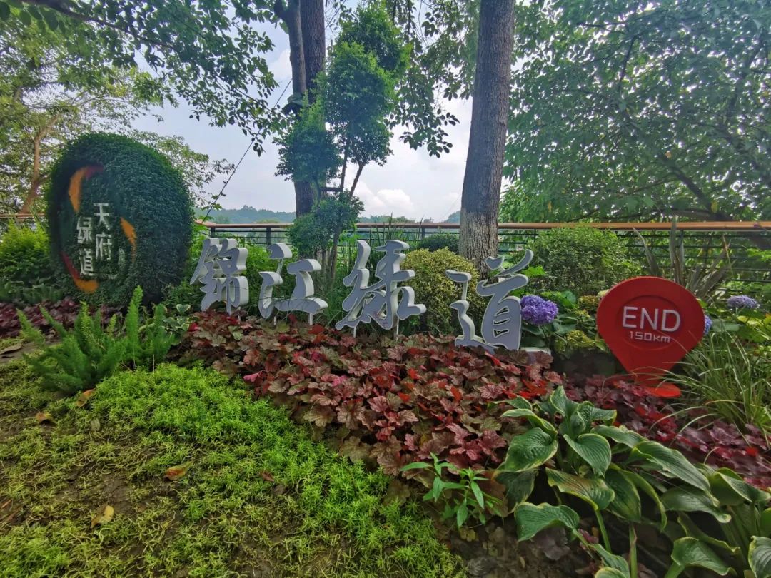 全长240公里的锦江绿道！太震撼了