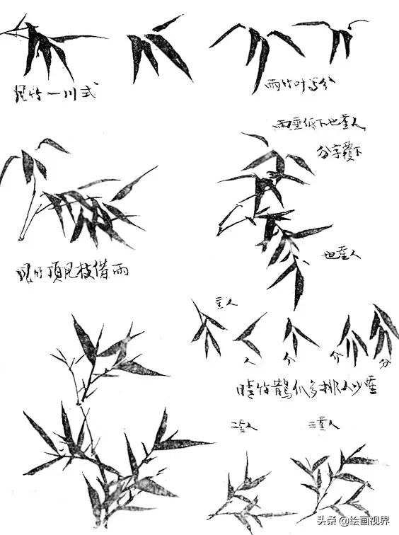 画竹子的简单画法水墨初学,怎样画竹子不用胶水
