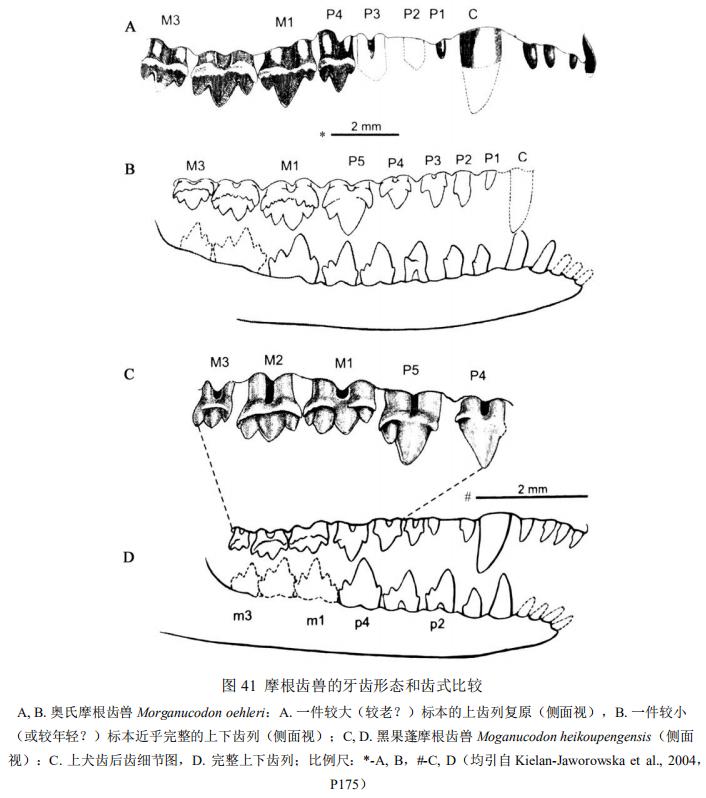 蜥蜴是怎么进化成哺乳动物,蜥蜴是怎么进化的
