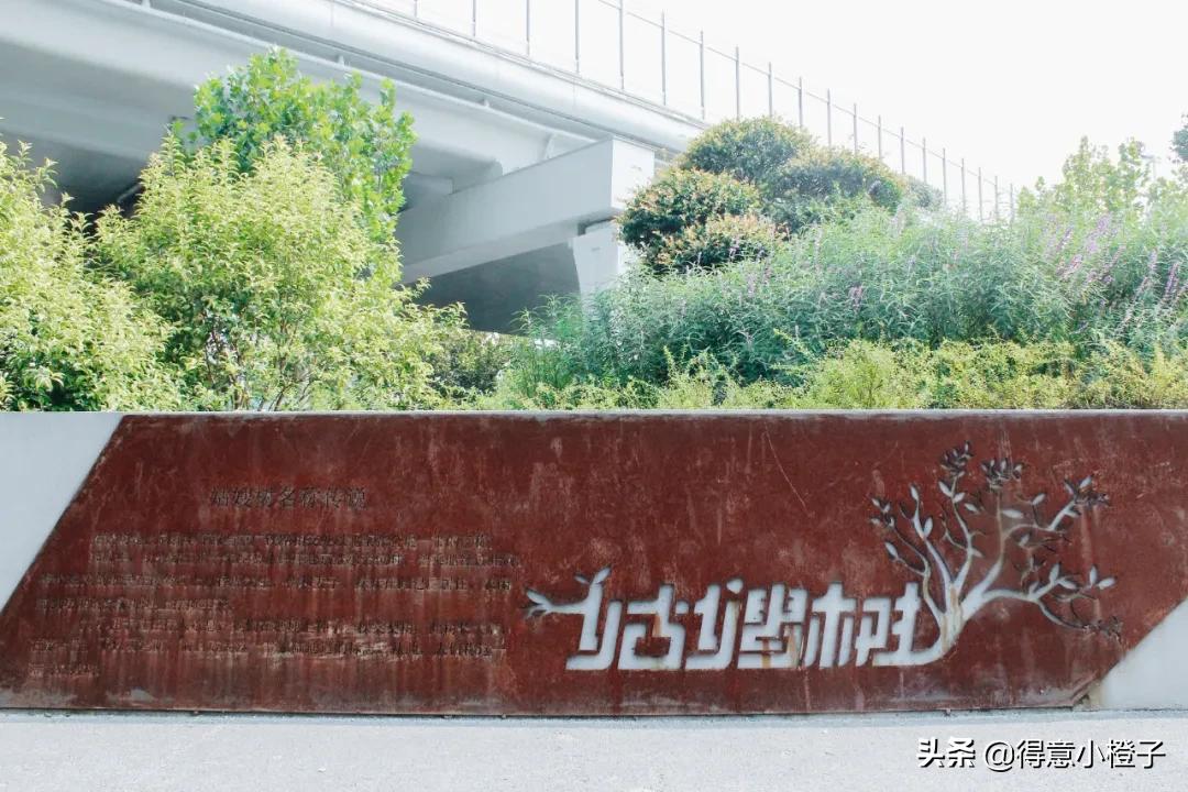 口袋公园有多少个,口袋公园一般多大面积