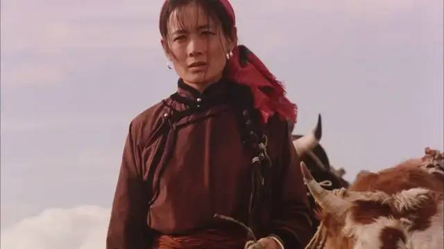 腾格尔曾经出演过哪部电影,腾格尔友情出演的电影