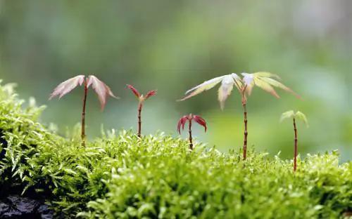 有一种感觉叫说不出话,有一种控制不住自己的感觉