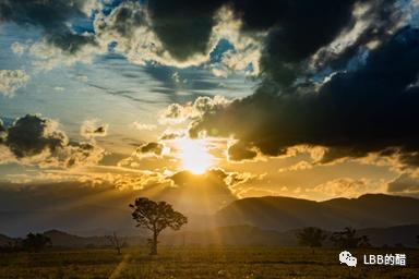 中国百岁,中国百岁老人