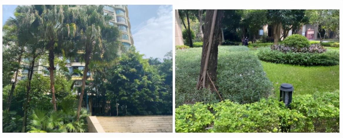 踩盘日记石家庄,踩盘日记第13天