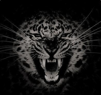 股市k线三点绝招,讲股票k线视频