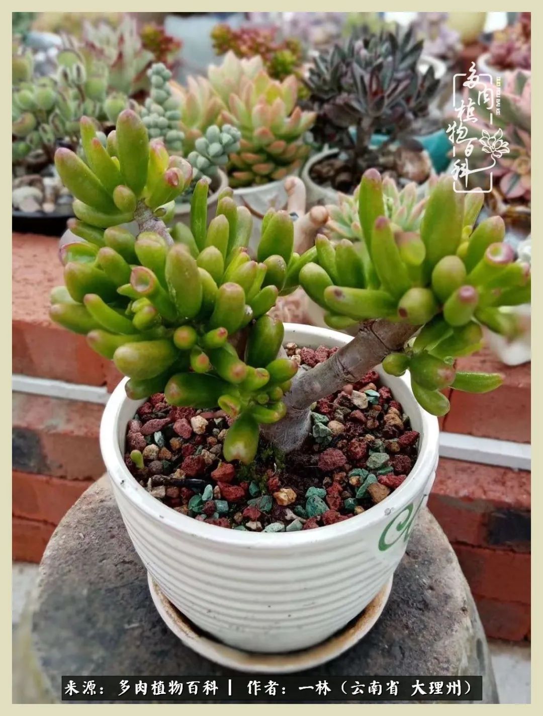 星光不问赶路人文案,时光不负有心人星光不负赶路人