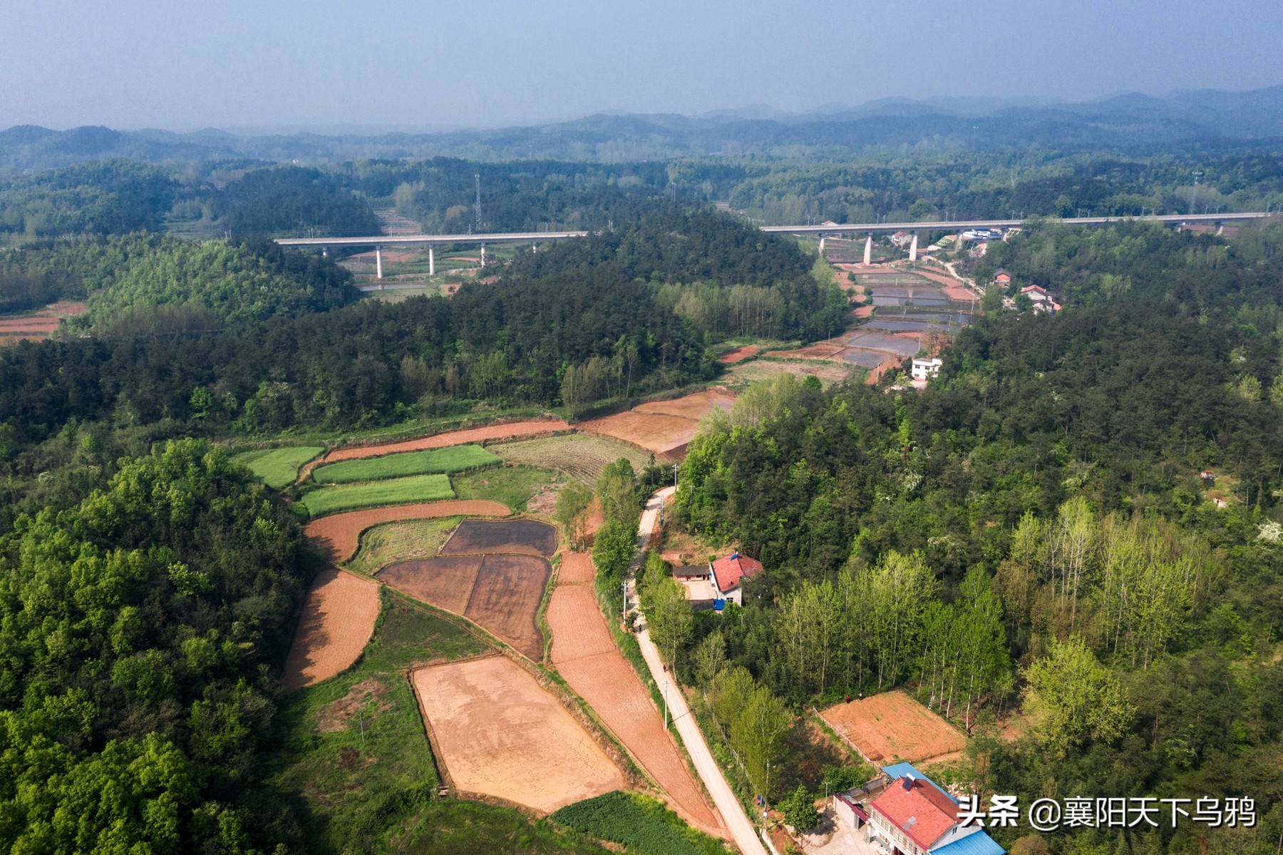 喻家湾年轻的村官叫磊娃儿