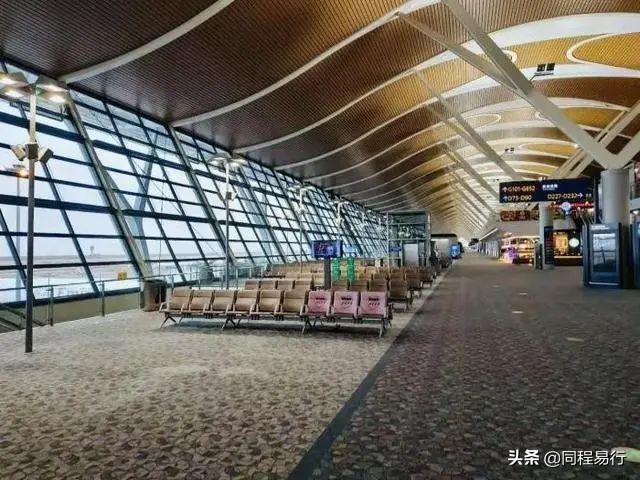 中国人宅在家里的日子，全世界：快快快撑不住了