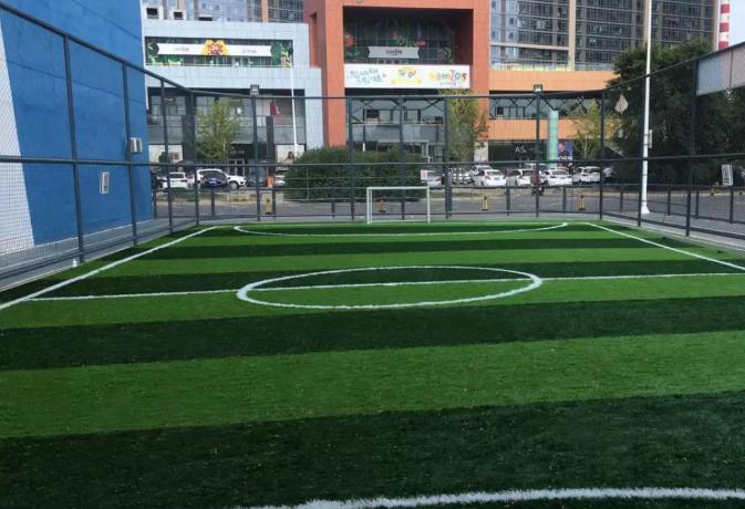 西岗体育馆室内足球场,西岗区新增地块