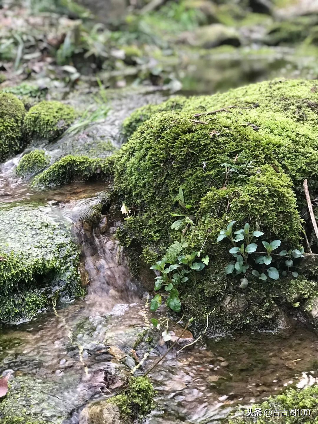 越王峥大峡谷：风景壮美，迷倒众生