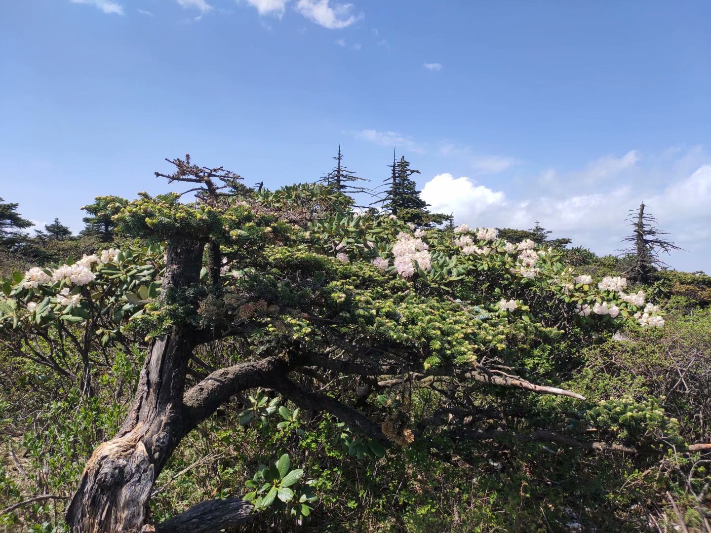 户外装备用品大全,入门户外装备怎么选