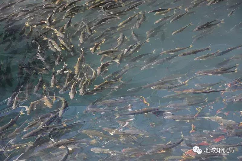 青海为啥有海,青海的海对中国有什么影响