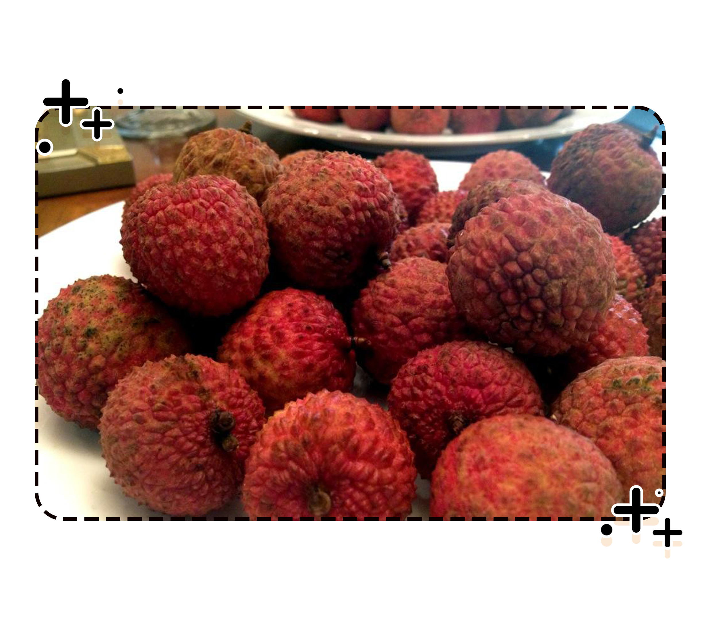 荔枝自由有多难实现?就连古代皇帝都为了它拼了老命(菲李漫画)