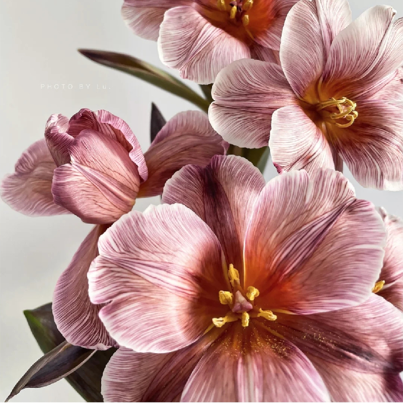 野冬青花材,畅销花卉绿植排行榜前十名