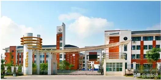 合肥优质小学排名,合肥小学排名100强一览表